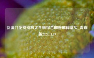 新澳门免费资料大全集综合解答解释落实_青铜版2024.11.09