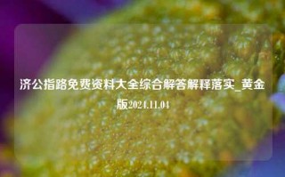 济公指路免费资料大全综合解答解释落实_黄金版2024.11.04