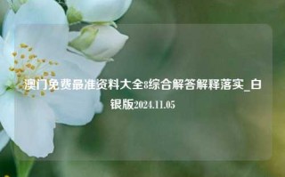 澳门免费最准资料大全8综合解答解释落实_白银版2024.11.05