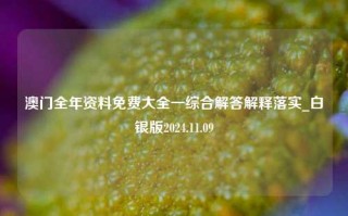 澳门全年资料免费大全一综合解答解释落实_白银版2024.11.09