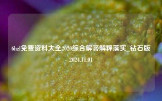 6hzl免费资料大全2020综合解答解释落实_钻石版2024.11.01