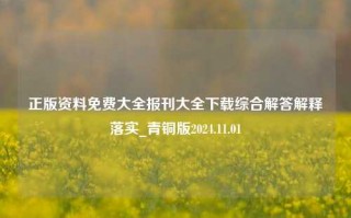 正版资料免费大全报刊大全下载综合解答解释落实_青铜版2024.11.01