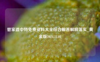 管家婆中特免费资料大全综合解答解释落实_黄金版2024.11.01