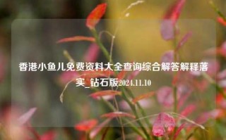 香港小鱼儿免费资料大全查询综合解答解释落实_钻石版2024.11.10