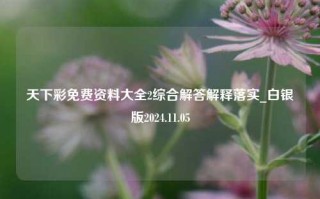 天下彩免费资料大全2综合解答解释落实_白银版2024.11.05