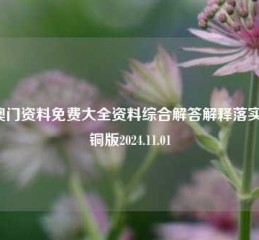 新澳门资料免费大全资料综合解答解释落实_青铜版2024.11.01