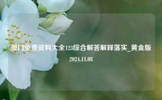 澳门免费资料大全123综合解答解释落实_黄金版2024.11.08