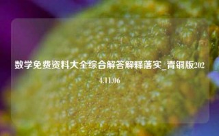 数学免费资料大全综合解答解释落实_青铜版2024.11.06