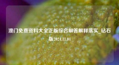 澳门免费资料大全正版综合解答解释落实_钻石版2024.11.04