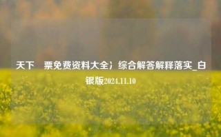 天下釆票免费资料大全冫综合解答解释落实_白银版2024.11.10