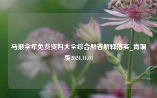 马报全年免费资料大全综合解答解释落实_青铜版2024.11.01