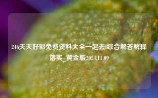 246天天好彩免费资料大全一起去l综合解答解释落实_黄金版2024.11.09