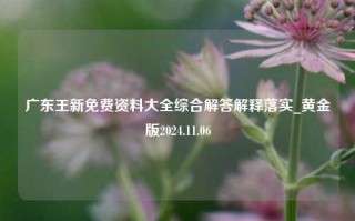 广东王新免费资料大全综合解答解释落实_黄金版2024.11.06