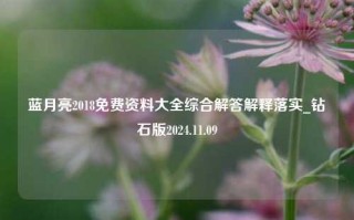 蓝月亮2018免费资料大全综合解答解释落实_钻石版2024.11.09