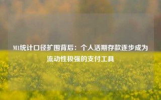 M1统计口径扩围背后：个人活期存款逐步成为流动性极强的支付工具