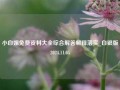 小白姐免费资料大全综合解答解释落实_白银版2024.11.05