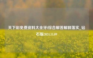 天下彩免费资料大全牙l综合解答解释落实_钻石版2024.11.09