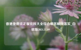 香港免费钱正版资料大全综合解答解释落实_白银版2024.11.09