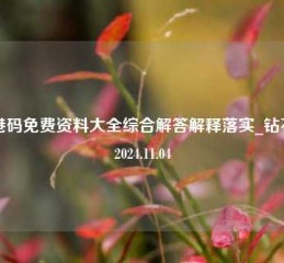 香港码免费资料大全综合解答解释落实_钻石版2024.11.04