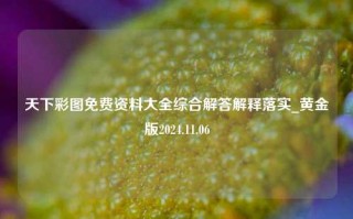 天下彩图免费资料大全综合解答解释落实_黄金版2024.11.06