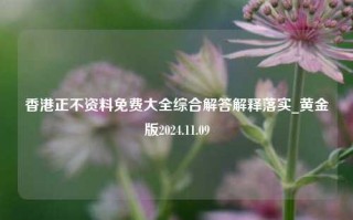 香港正不资料免费大全综合解答解释落实_黄金版2024.11.09