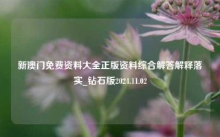 新澳门免费资料大全正版资料综合解答解释落实_钻石版2024.11.02