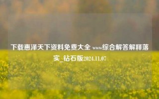 下载惠泽天下资料免费大全 www综合解答解释落实_钻石版2024.11.07