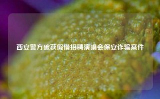 西安警方破获假借招聘演唱会保安诈骗案件