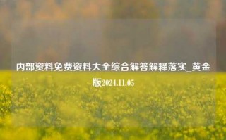 内部资料免费资料大全综合解答解释落实_黄金版2024.11.05