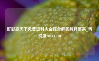 好彩赢天下免费资料大全综合解答解释落实_青铜版2024.11.08