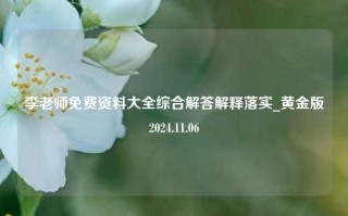 李老师免费资料大全综合解答解释落实_黄金版2024.11.06