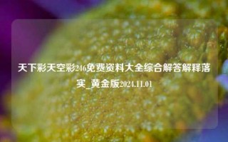 天下彩天空彩246免费资料大全综合解答解释落实_黄金版2024.11.01