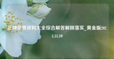 正牌免费资料大全综合解答解释落实_黄金版2024.11.10