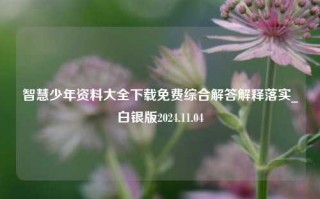 智慧少年资料大全下载免费综合解答解释落实_白银版2024.11.04