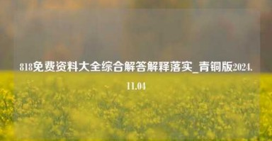 818免费资料大全综合解答解释落实_青铜版2024.11.04