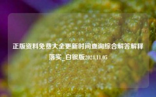 正版资料免费大全更新时间查询综合解答解释落实_白银版2024.11.05