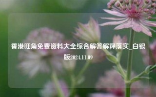 香港旺角免费资料大全综合解答解释落实_白银版2024.11.09