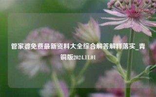 管家婆免费最新资料大全综合解答解释落实_青铜版2024.11.01