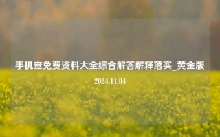 手机查免费资料大全综合解答解释落实_黄金版2024.11.04