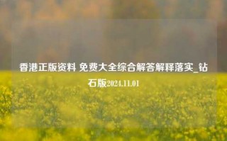 香港正版资料 免费大全综合解答解释落实_钻石版2024.11.01