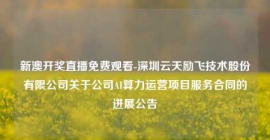 新澳开奖直播免费观看-深圳云天励飞技术股份有限公司关于公司AI算力运营项目服务合同的进展公告