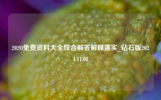 202O免费资料大全综合解答解释落实_钻石版2024.11.08