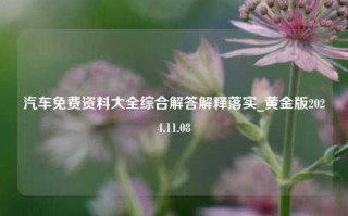 汽车免费资料大全综合解答解释落实_黄金版2024.11.08