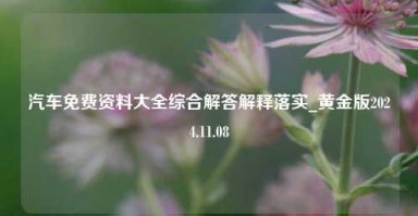 汽车免费资料大全综合解答解释落实_黄金版2024.11.08