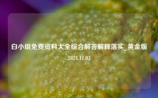 白小组免费资料大全综合解答解释落实_黄金版2024.11.03