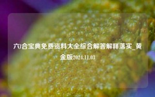 六l合宝典免费资料大全综合解答解释落实_黄金版2024.11.03