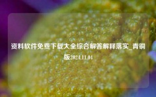 资料软件免费下载大全综合解答解释落实_青铜版2024.11.04