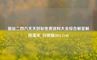 新址二四六天天好彩免费资料大全综合解答解释落实_白银版2024.11.08