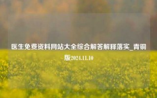 医生免费资料网站大全综合解答解释落实_青铜版2024.11.10