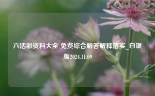 六活彩资料大全 免费综合解答解释落实_白银版2024.11.09